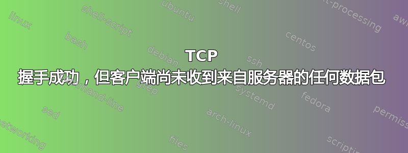 TCP 握手成功，但客户端尚未收到来自服务器的任何数据包