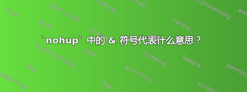 `nohup` 中的 & 符号代表什么意思？