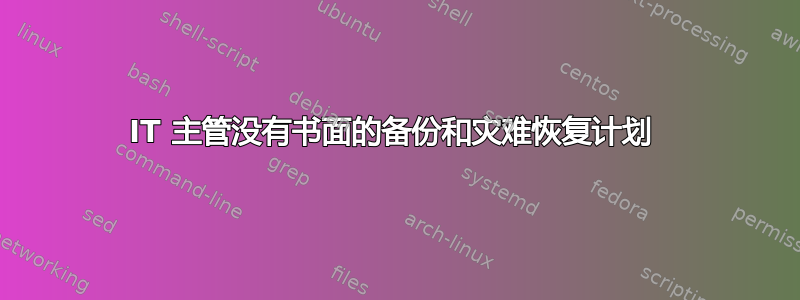 IT 主管没有书面的备份和灾难恢复计划 