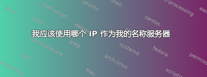 我应该使用哪个 IP 作为我的名称服务器 