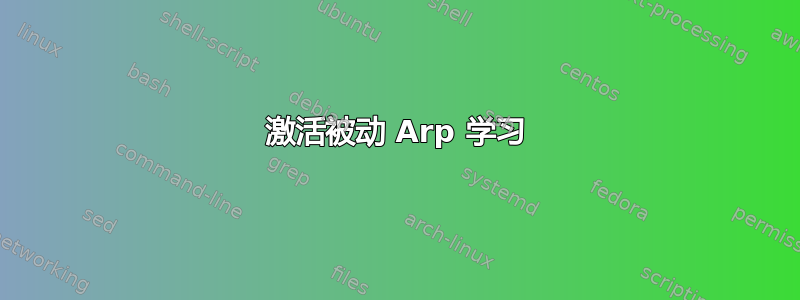 激活被动 Arp 学习