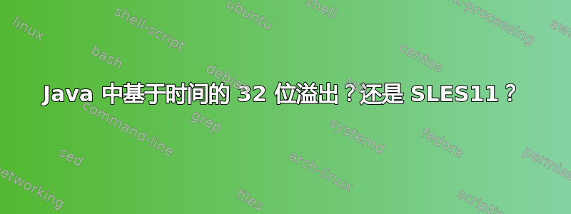 Java 中基于时间的 32 位溢出？还是 SLES11？