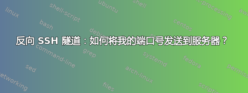 反向 SSH 隧道：如何将我的端口号发送到服务器？