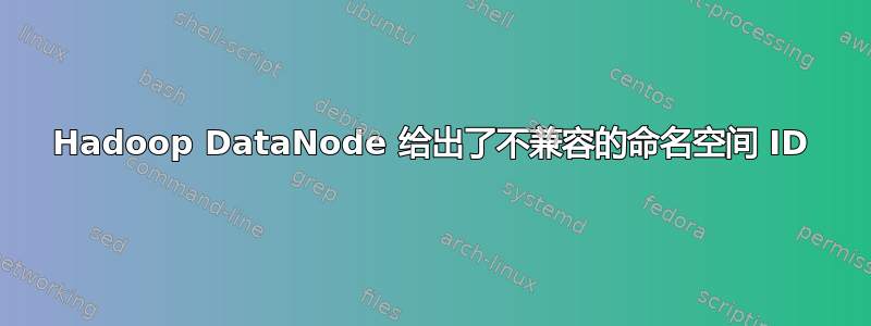 Hadoop DataNode 给出了不兼容的命名空间 ID