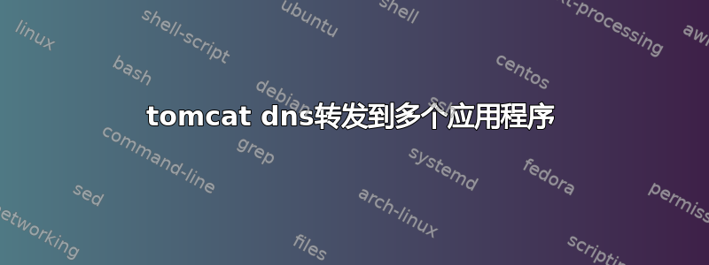 tomcat dns转发到多个应用程序