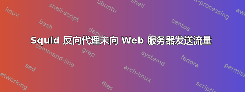 Squid 反向代理未向 Web 服务器发送流量