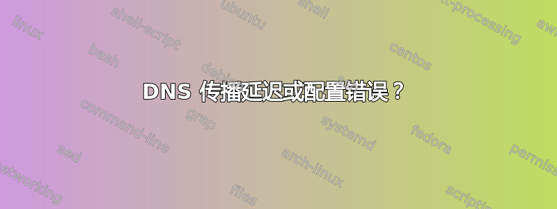 DNS 传播延迟或配置错误？