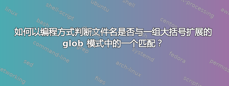 如何以编程方式判断文件名是否与一组大括号扩展的 glob 模式中的一个匹配？