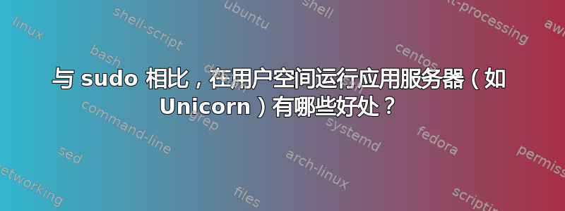 与 sudo 相比，在用户空间运行应用服务器（如 Unicorn）有哪些好处？