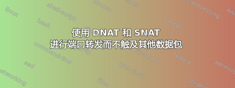 使用 DNAT 和 SNAT 进行端口转发而不触及其他数据包