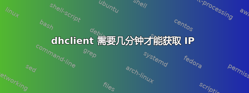 dhclient 需要几分钟才能获取 IP