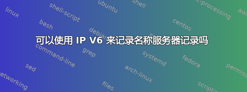 可以使用 IP V6 来记录名称服务器记录吗