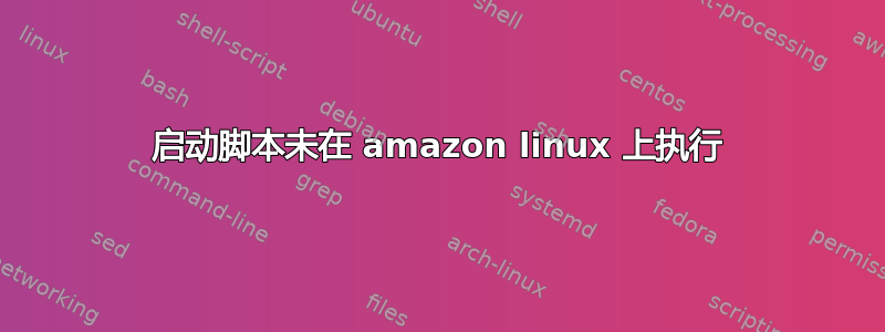 启动脚本未在 amazon linux 上执行