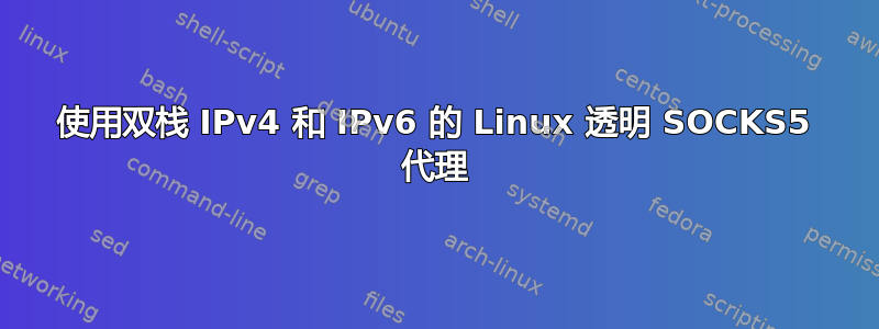 使用双栈 IPv4 和 IPv6 的 Linux 透明 SOCKS5 代理