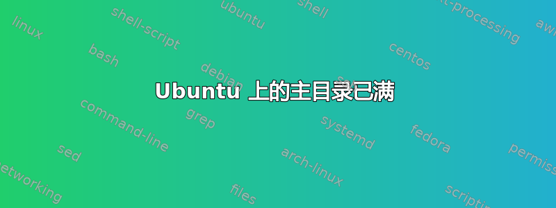 Ubuntu 上的主目录已满