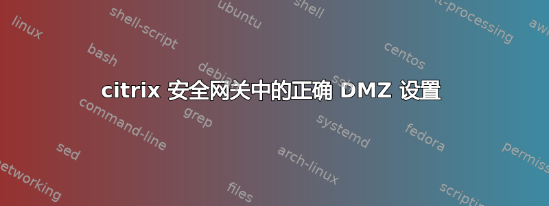 citrix 安全网关中的正确 DMZ 设置