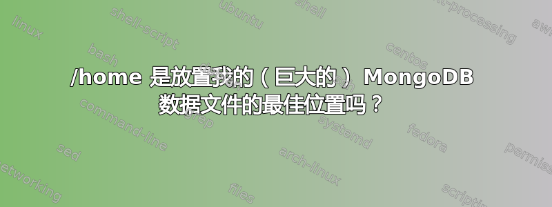 /home 是放置我的（巨大的） MongoDB 数据文件的最佳位置吗？