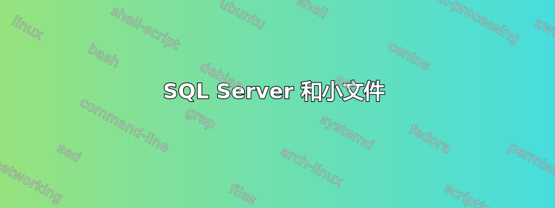 SQL Server 和小文件