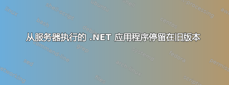 从服务器执行的 .NET 应用程序停留在旧版本