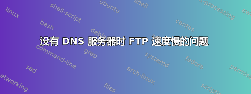 没有 DNS 服务器时 FTP 速度慢的问题