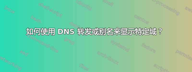 如何使用 DNS 转发或别名来显示特定域？