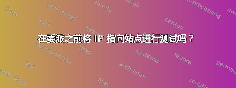 在委派之前将 IP 指向站点进行测试吗？