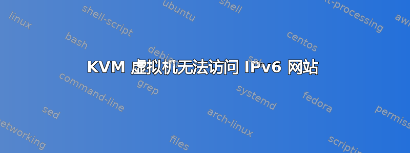 KVM 虚拟机无法访问 IPv6 网站