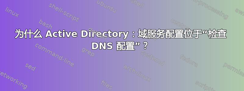 为什么 Active Directory：域服务配置位于“检查 DNS 配置”？