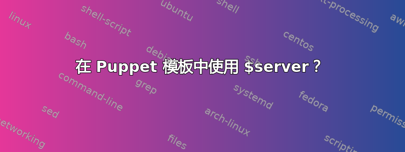 在 Puppet 模板中使用 $server？