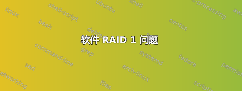 软件 RAID 1 问题