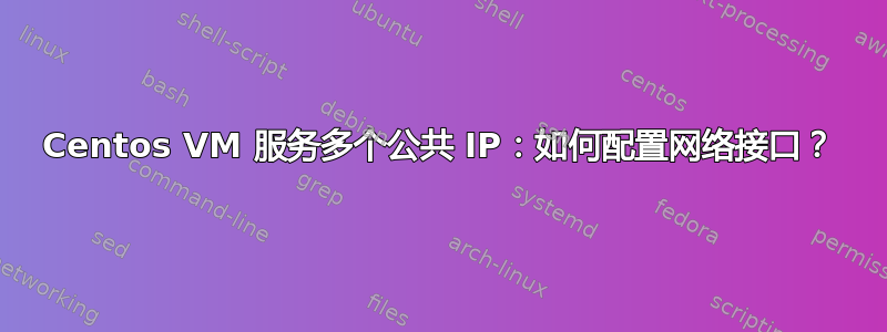 Centos VM 服务多个公共 IP：如何配置网络接口？