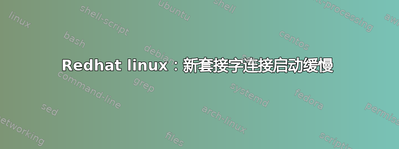 Redhat linux：新套接字连接启动缓慢