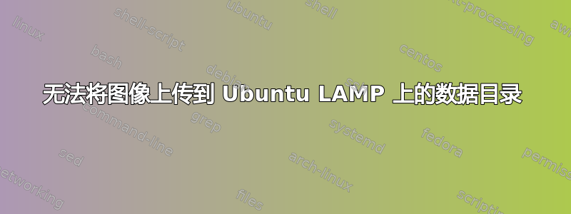 无法将图像上传到 Ubuntu LAMP 上的数据目录