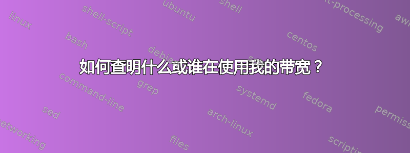 如何查明什么或谁在使用我的带宽？