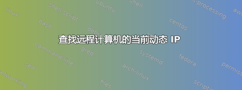 查找远程计算机的当前动态 IP