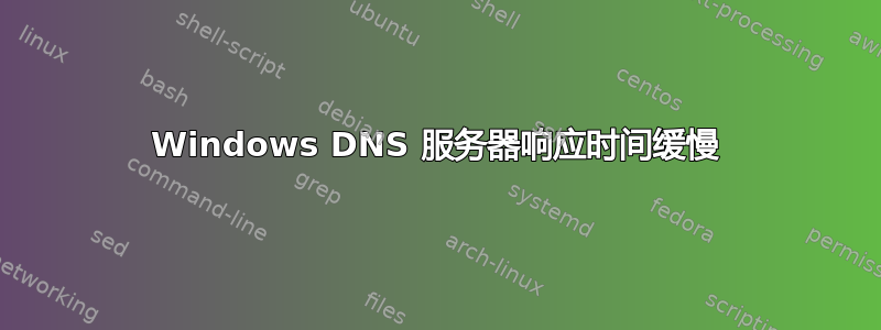 Windows DNS 服务器响应时间缓慢