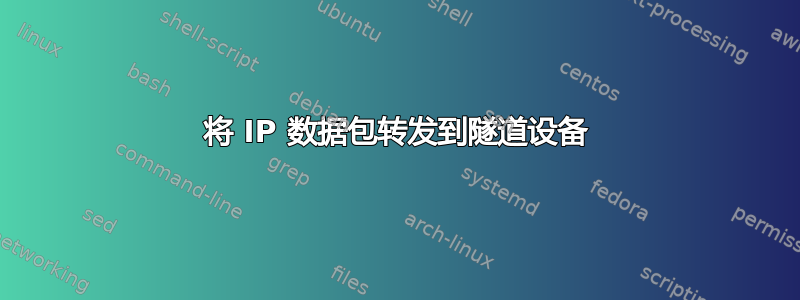 将 IP 数据包转发到隧道设备