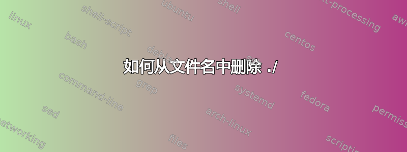 如何从文件名中删除 ./