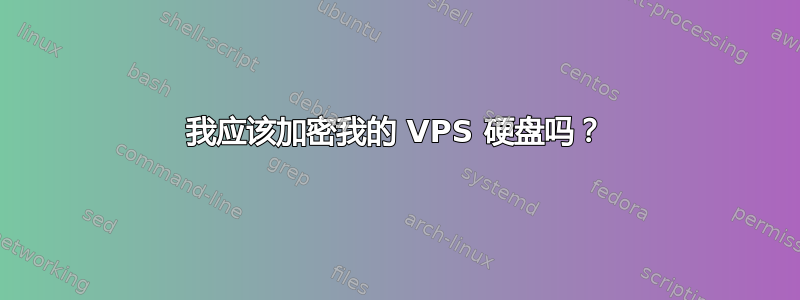 我应该加密我的 VPS 硬盘吗？