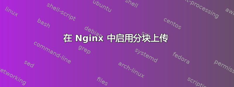 在 Nginx 中启用分块上传