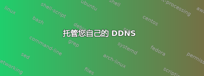 托管您自己的 DDNS 