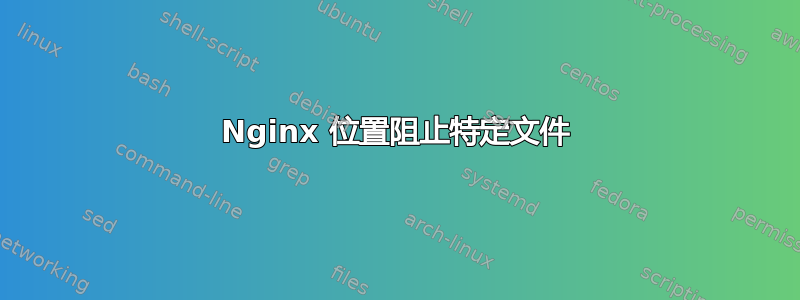 Nginx 位置阻止特定文件