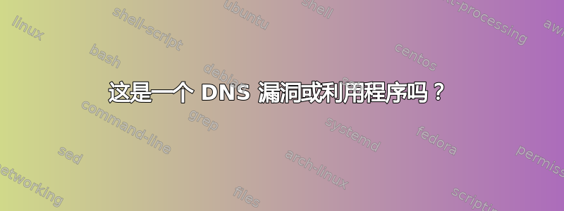 这是一个 DNS 漏洞或利用程序吗？