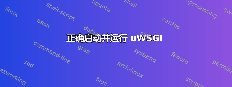 正确启动并运行 uWSGI