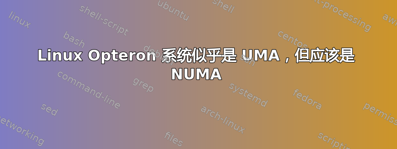 Linux Opteron 系统似乎是 UMA，但应该是 NUMA