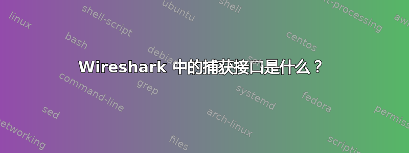 Wireshark 中的捕获接口是什么？