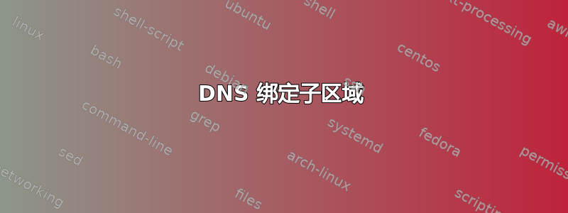 DNS 绑定子区域