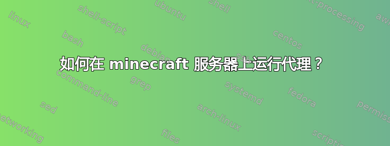 如何在 minecraft 服务器上运行代理？