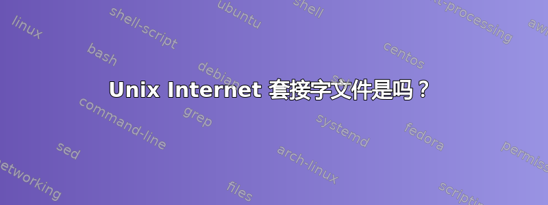 Unix Internet 套接字文件是吗？