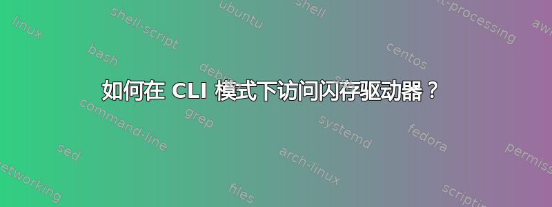 如何在 CLI 模式下访问闪存驱动器？